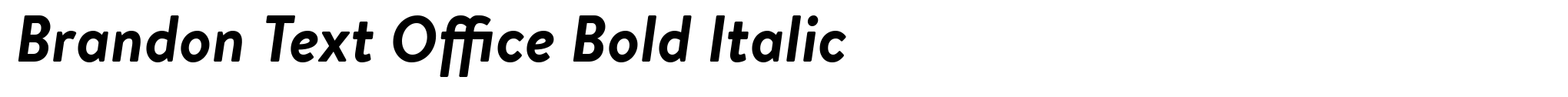 Brandon Text Office Bold Italic image